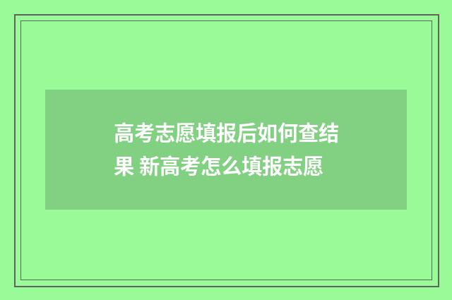 高考志愿填报后如何查结果 新高考怎么填报志愿