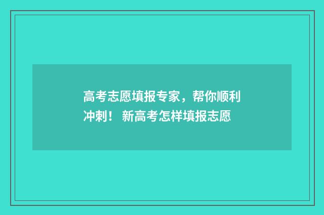 高考志愿填报专家，帮你顺利冲刺！ 新高考怎样填报志愿