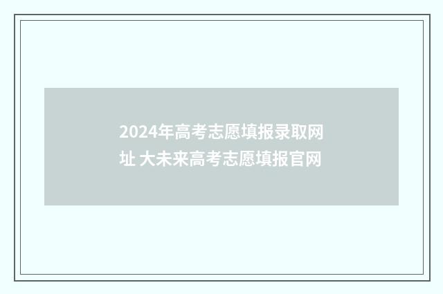 2024年高考志愿填报录取网址 大未来高考志愿填报官网