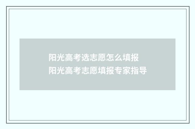 阳光高考选志愿怎么填报 阳光高考志愿填报专家指导