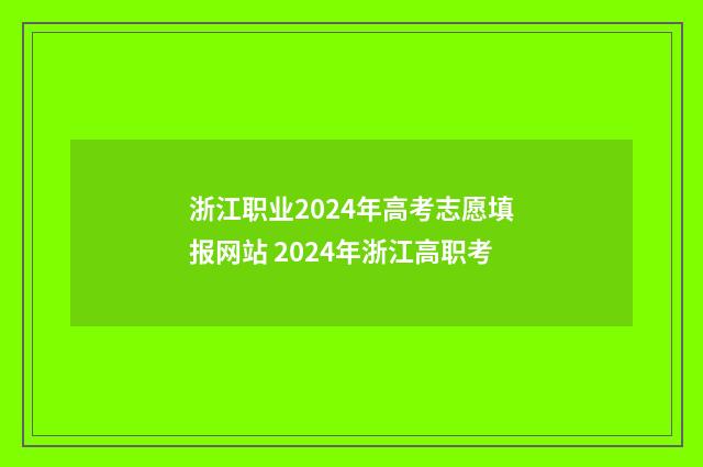 浙江职业2024年高考志愿填报网站 2024年浙江高职考