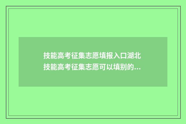 技能高考征集志愿填报入口湖北 技能高考征集志愿可以填别的专业吗