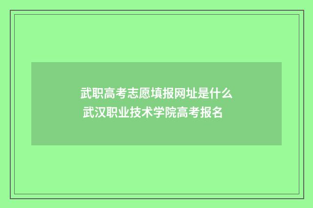 武职高考志愿填报网址是什么 武汉职业技术学院高考报名