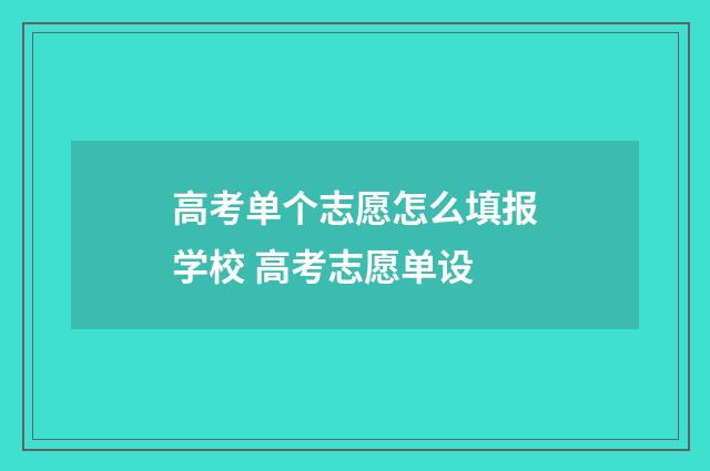高考单个志愿怎么填报学校 高考志愿单设