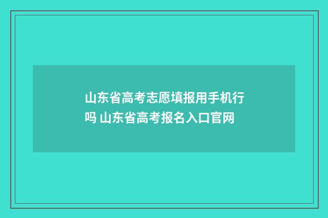 山东省高考志愿填报用手机行吗 山东省高考报名入口官网