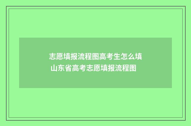 志愿填报流程图高考生怎么填 山东省高考志愿填报流程图