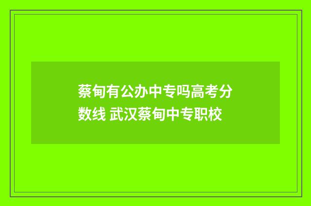 蔡甸有公办中专吗高考分数线 武汉蔡甸中专职校