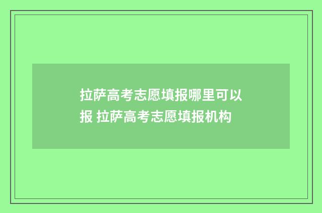 拉萨高考志愿填报哪里可以报 拉萨高考志愿填报机构