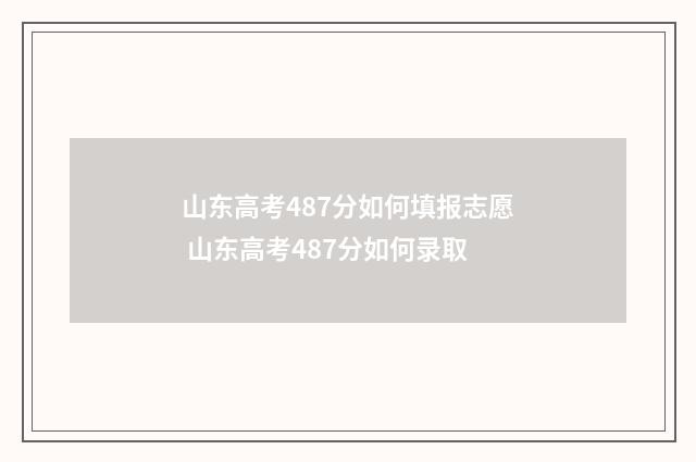 山东高考487分如何填报志愿 山东高考487分如何录取