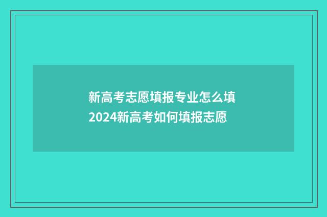 新高考志愿填报专业怎么填 2024新高考如何填报志愿