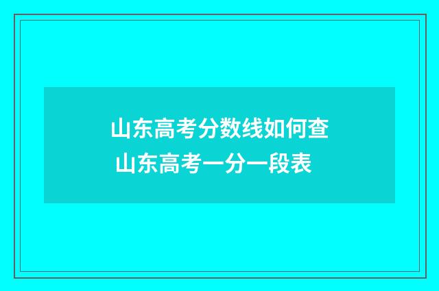 山东高考分数线如何查 山东高考一分一段表
