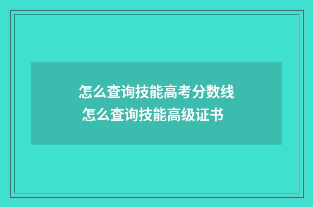 怎么查询技能高考分数线 怎么查询技能高级证书