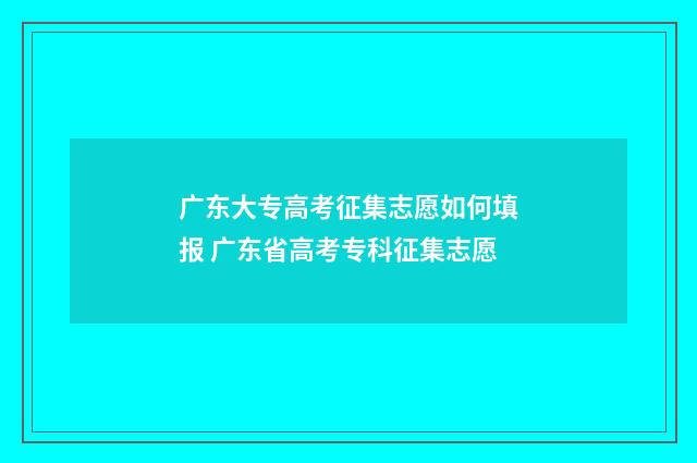 广东大专高考征集志愿如何填报 广东省高考专科征集志愿