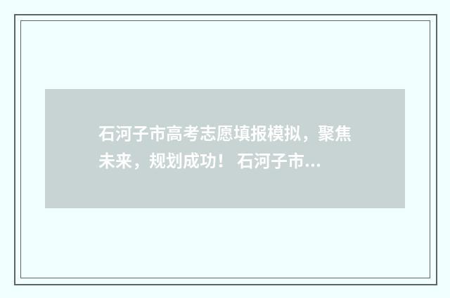 石河子市高考志愿填报模拟，聚焦未来，规划成功！ 石河子市高考志愿查询