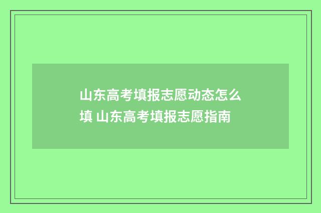 山东高考填报志愿动态怎么填 山东高考填报志愿指南