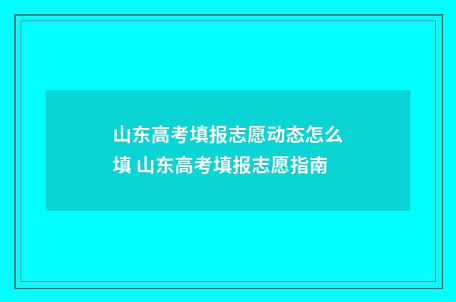 山东高考填报志愿动态怎么填 山东高考填报志愿指南