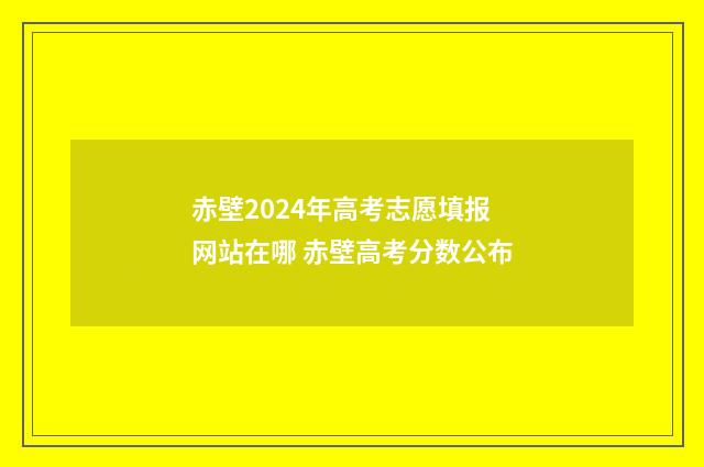 赤壁2024年高考志愿填报网站在哪 赤壁高考分数公布