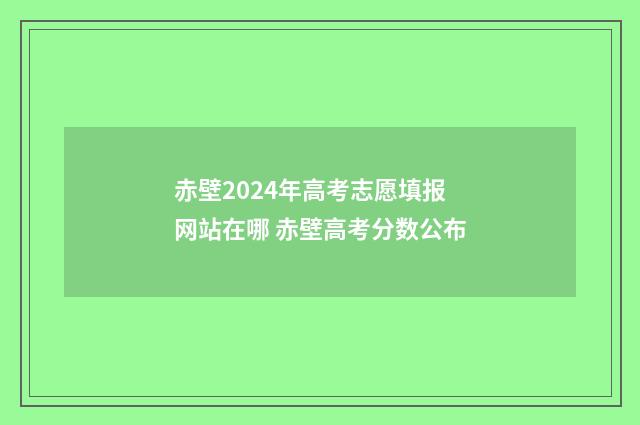 赤壁2024年高考志愿填报网站在哪 赤壁高考分数公布