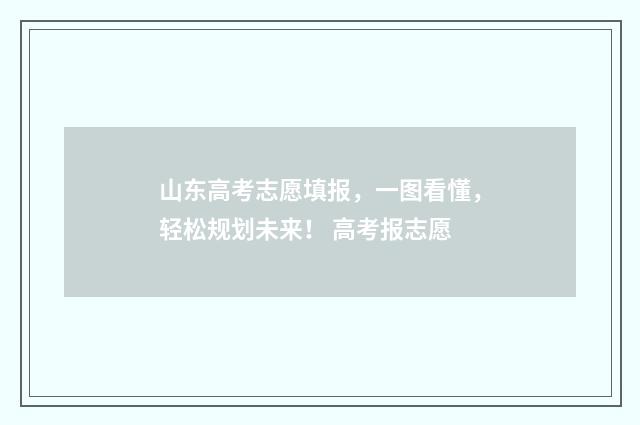 山东高考志愿填报，一图看懂，轻松规划未来！ 高考报志愿