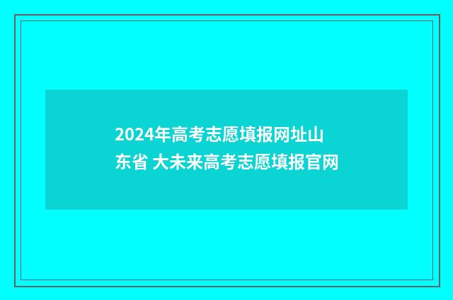 2024年高考志愿填报网址山东省 大未来高考志愿填报官网
