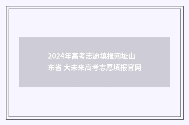 2024年高考志愿填报网址山东省 大未来高考志愿填报官网