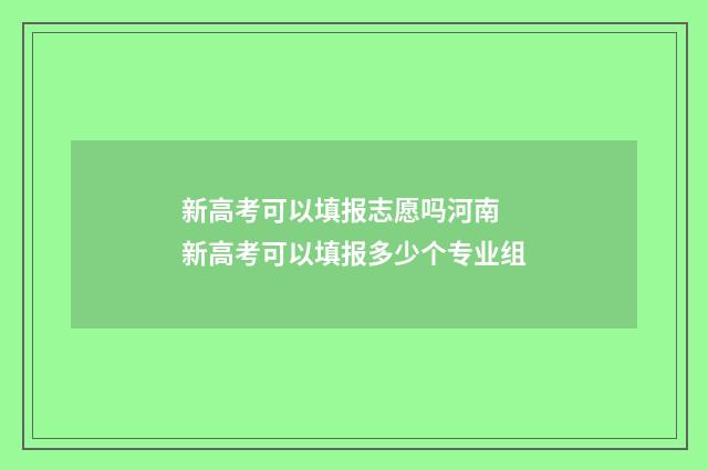 新高考可以填报志愿吗河南 新高考可以填报多少个专业组