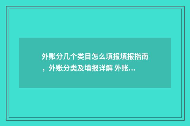 外账分几个类目怎么填报填报指南，外账分类及填报详解 外账常用会计分录