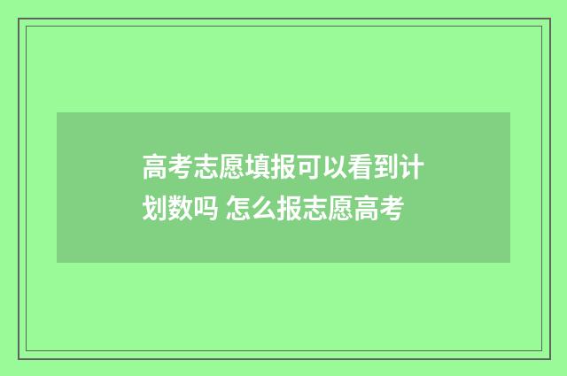 高考志愿填报可以看到计划数吗 怎么报志愿高考