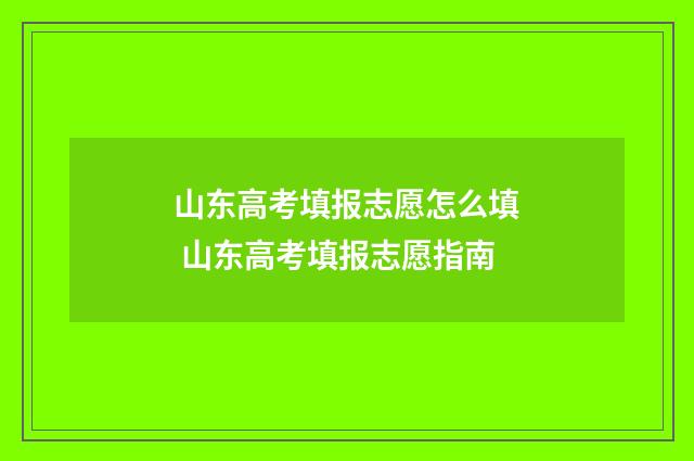 山东高考填报志愿怎么填 山东高考填报志愿指南