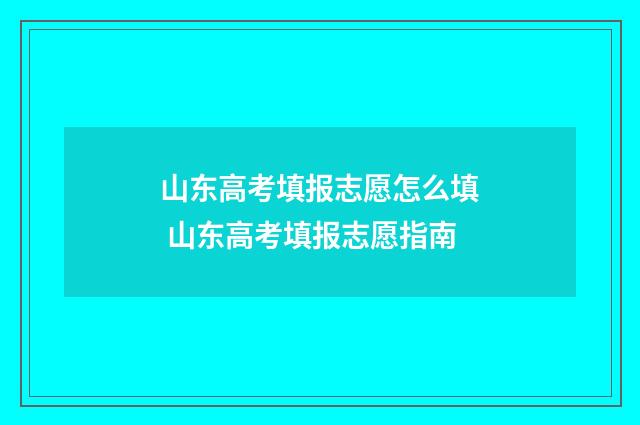 山东高考填报志愿怎么填 山东高考填报志愿指南