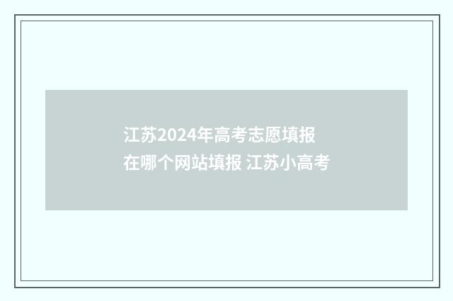 江苏2024年高考志愿填报在哪个网站填报 江苏小高考