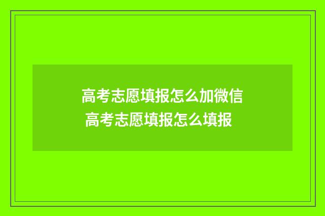 高考志愿填报怎么加微信 高考志愿填报怎么填报