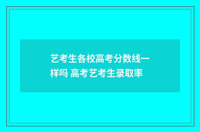 艺考生各校高考分数线一样吗 高考艺考生录取率
