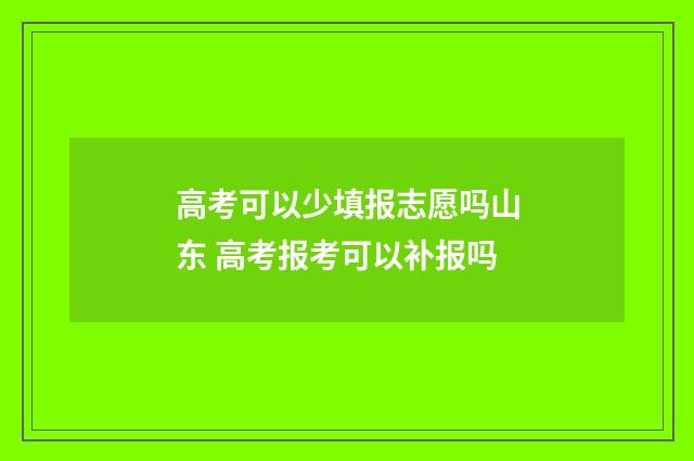 高考可以少填报志愿吗山东 高考报考可以补报吗