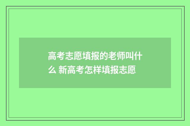 高考志愿填报的老师叫什么 新高考怎样填报志愿