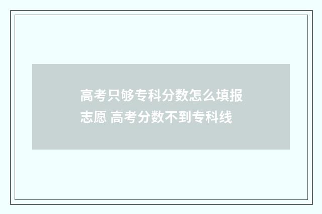高考只够专科分数怎么填报志愿 高考分数不到专科线