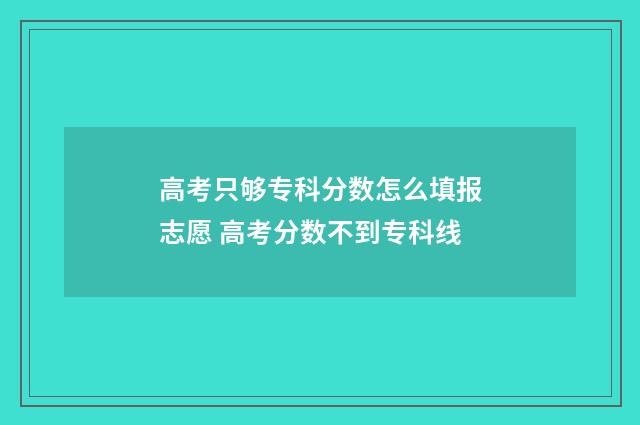 高考只够专科分数怎么填报志愿 高考分数不到专科线