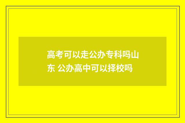 高考可以走公办专科吗山东 公办高中可以择校吗