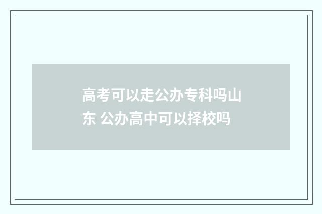 高考可以走公办专科吗山东 公办高中可以择校吗