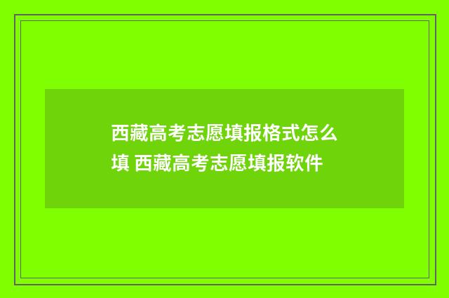 西藏高考志愿填报格式怎么填 西藏高考志愿填报软件