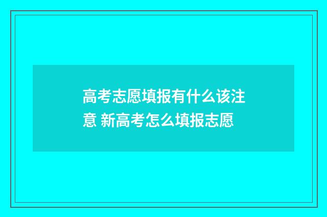 高考志愿填报有什么该注意 新高考怎么填报志愿