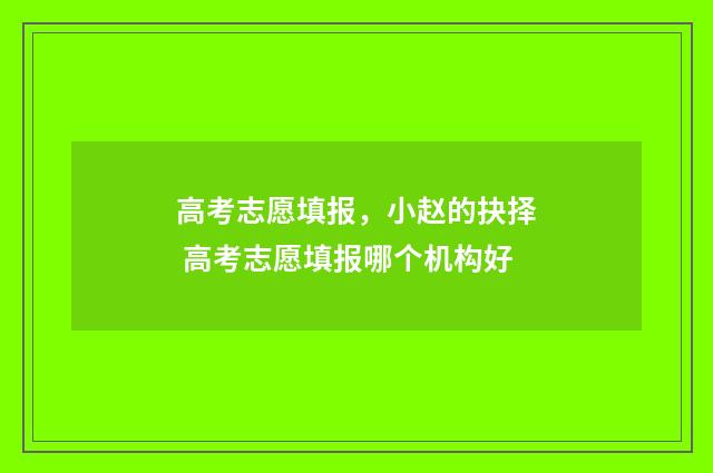 高考志愿填报,小赵的抉择 高考志愿填报哪个机构好