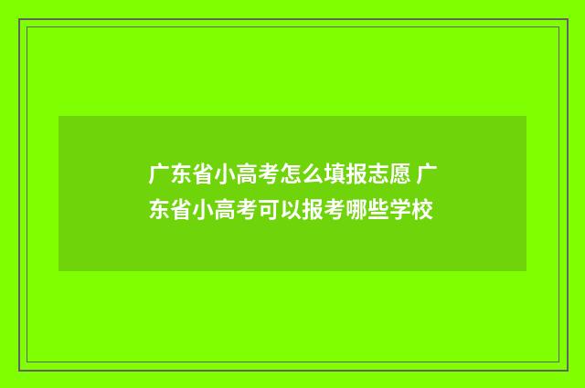 广东省小高考怎么填报志愿 广东省小高考可以报考哪些学校