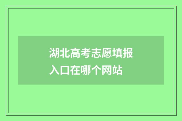 湖北高考志愿填报入口在哪个网站
