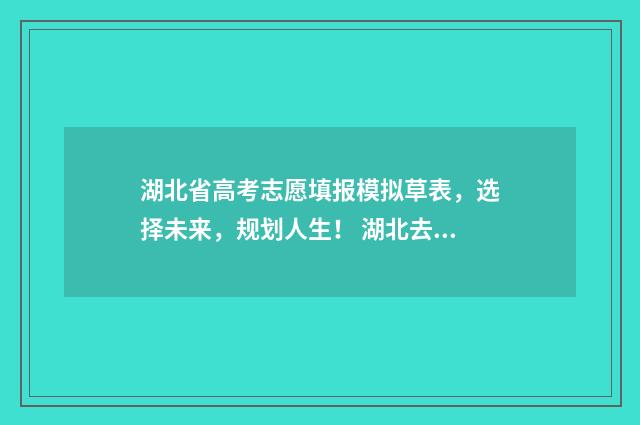 湖北省高考志愿填报模拟草表，选择未来，规划人生！ 湖北去年高考分数线