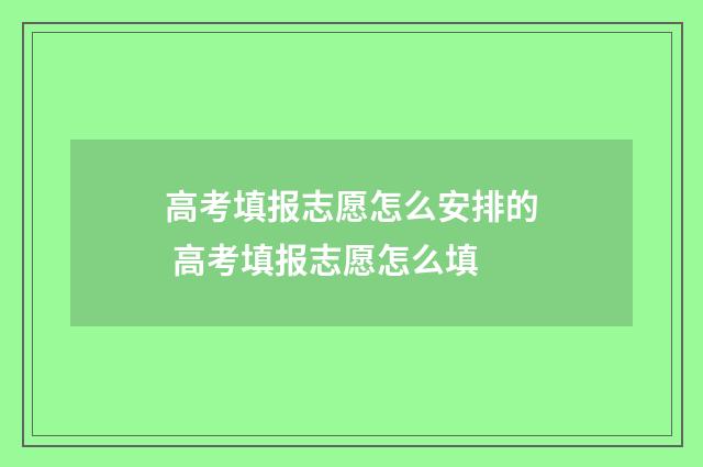 高考填报志愿怎么安排的 高考填报志愿怎么填