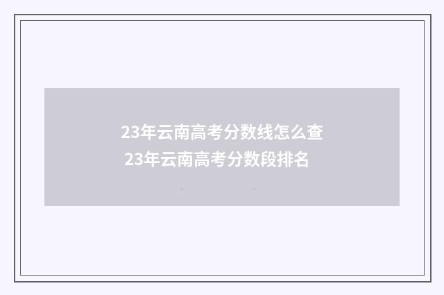 23年云南高考分数线怎么查 23年云南高考分数段排名