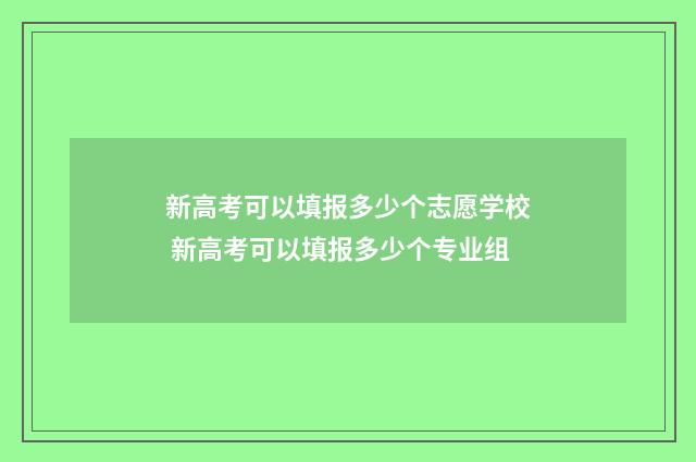 新高考可以填报多少个志愿学校 新高考可以填报多少个专业组