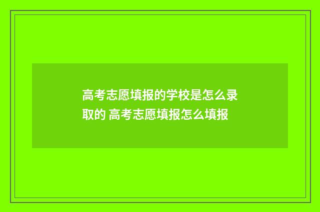 高考志愿填报的学校是怎么录取的 高考志愿填报怎么填报