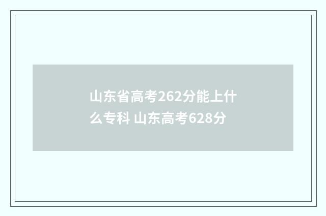 山东省高考262分能上什么专科 山东高考628分